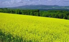 怎么用空氣負(fù)氧離子監(jiān)測(cè)系統(tǒng)？